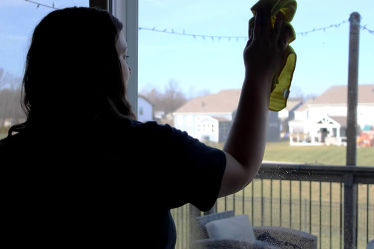 cleaner-wiping-window